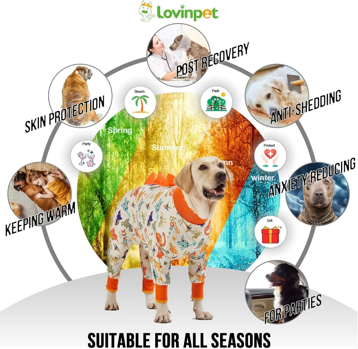 Large Dog Pajamas, Anti-Lick Recovery Suit