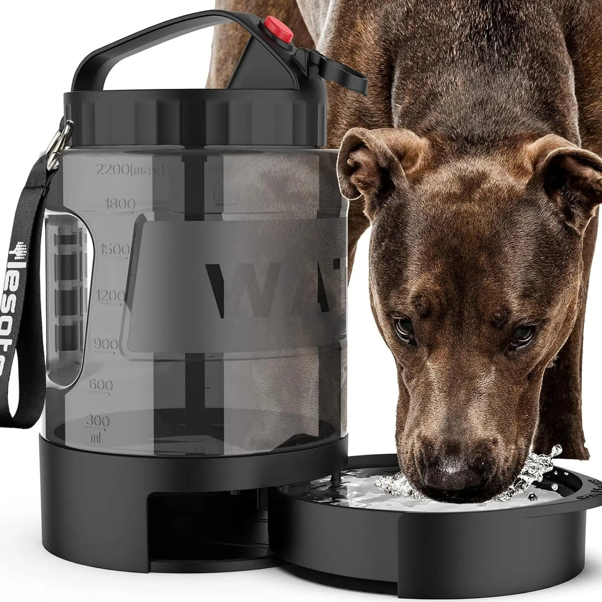 Leak-Proof Dog Travel Water Bottle with Built-In Bowl