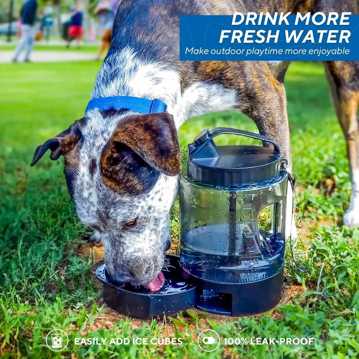 Leak-Proof Dog Travel Water Bottle with Built-In Bowl
