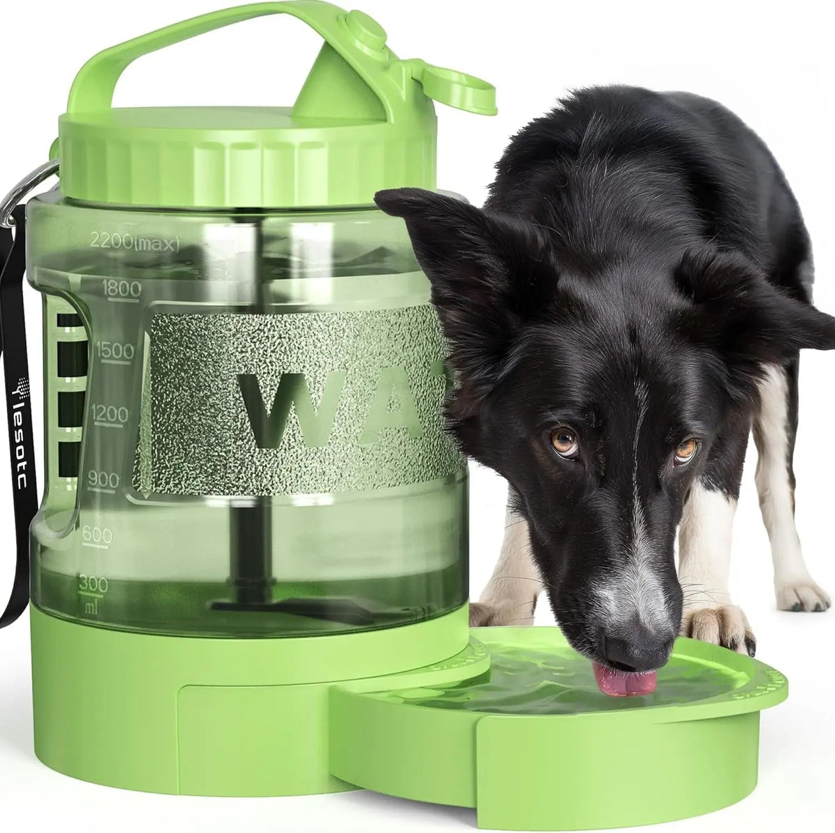 Leak-Proof Dog Travel Water Bottle with Built-In Bowl