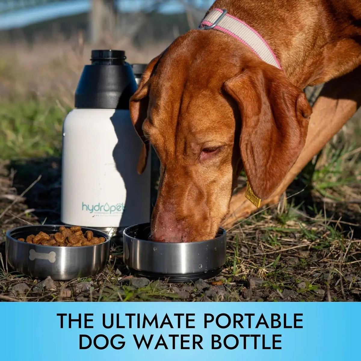 Insulated Dog Travel Water Bottle with Food Bowl, 32 or 64 oz