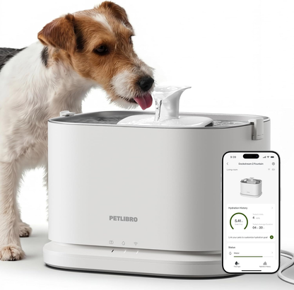 Smart Stainless Steel Dog Water Fountain, 3 L