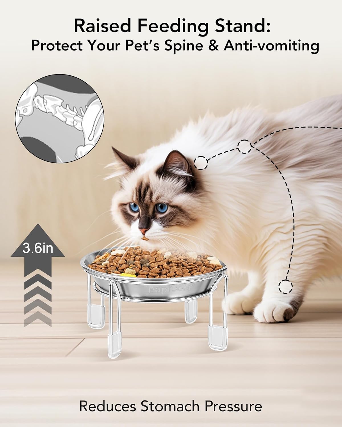 Elevated Stainless Steel Cat Bowls, 2 or 3 Pack