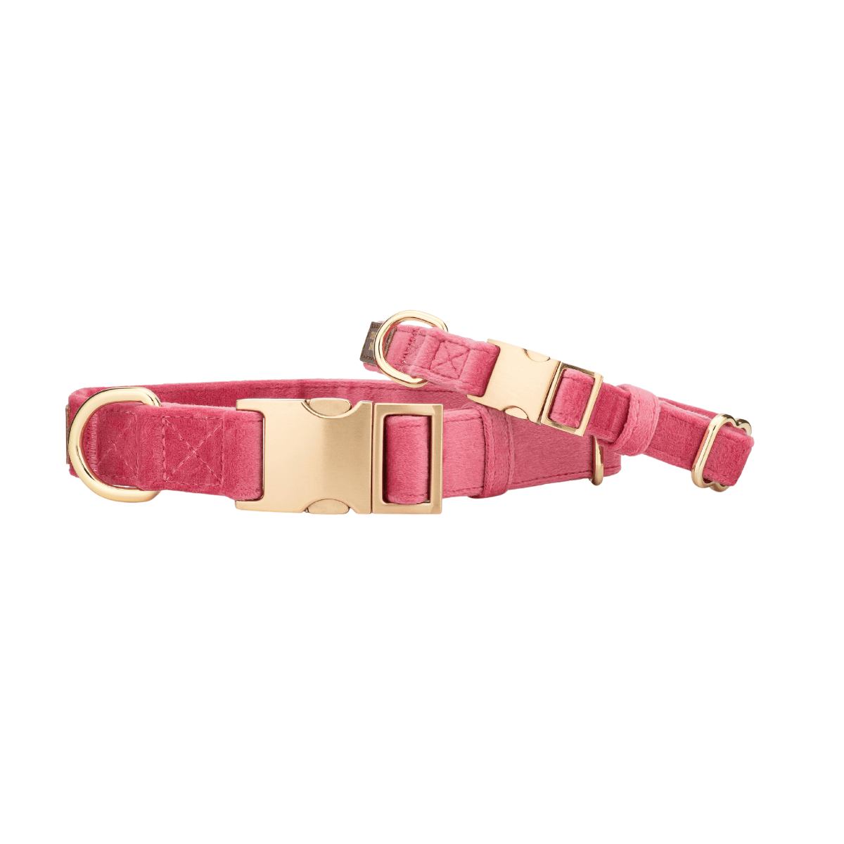 Ella – Pink Dog Collar, Adjustable XS–L