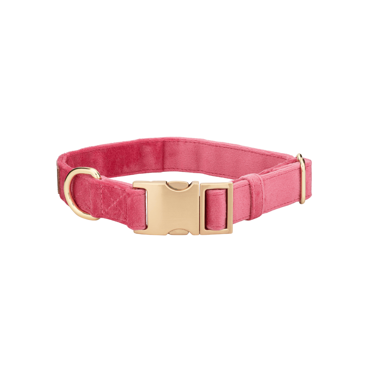 Ella dog collar — additional photo 2