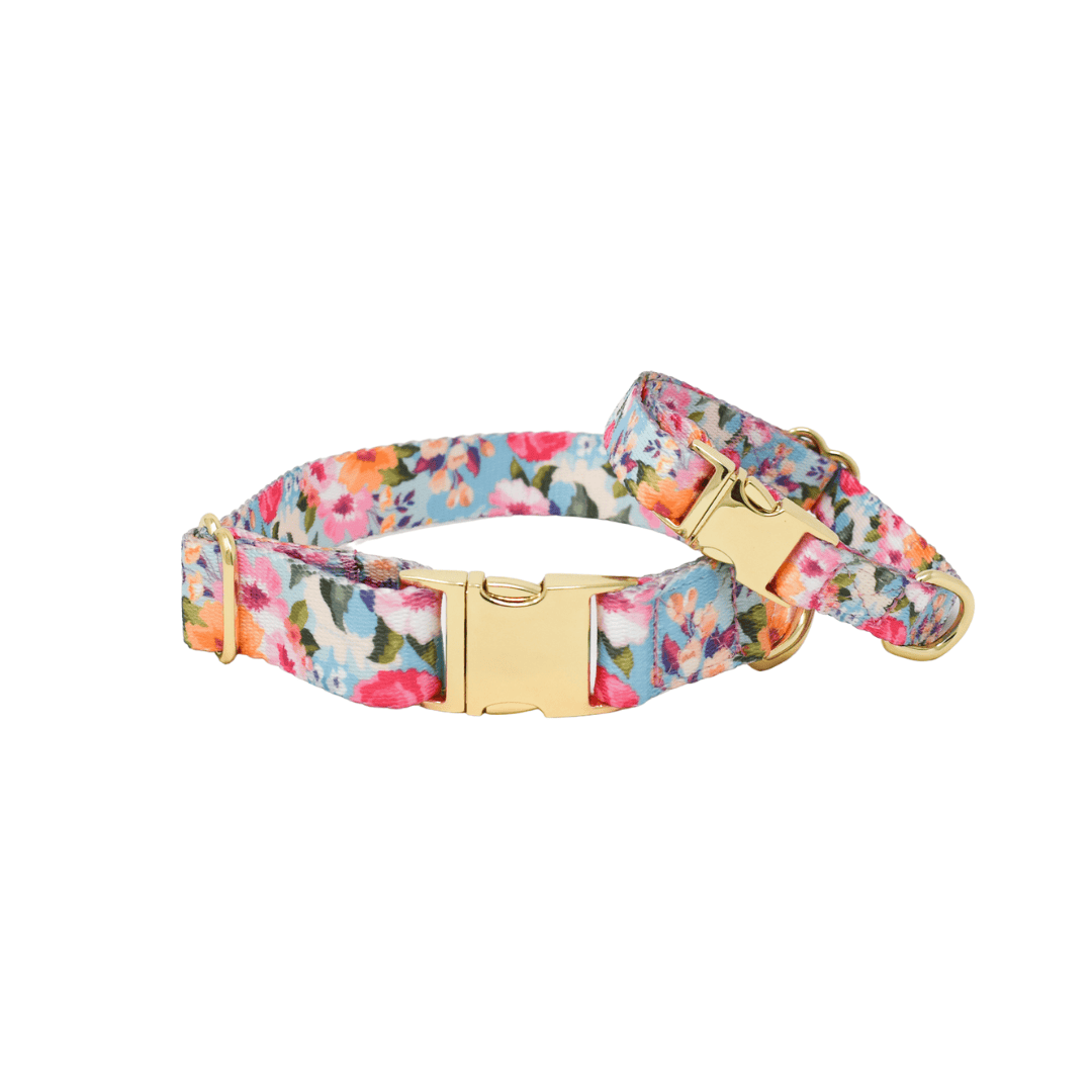 Emery – Floral Dog Collar, Adjustable XS–L
