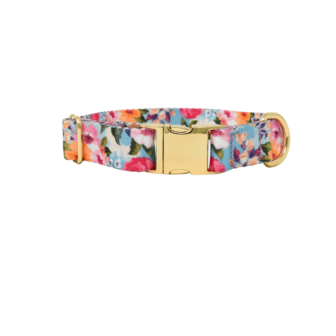 Emery dog collar — additional photo 2