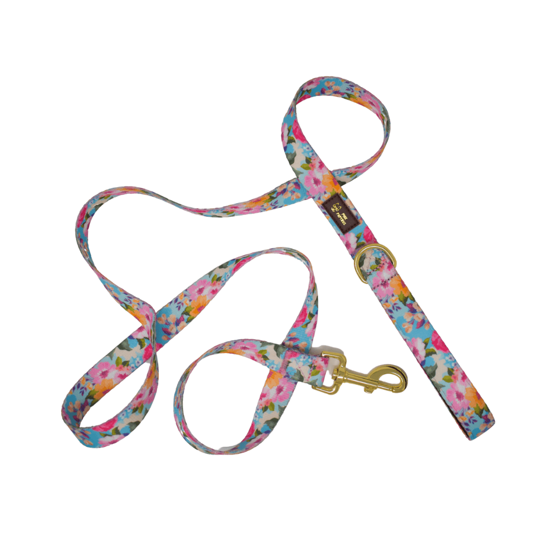 Emery – Floral Dog Leash 4ft & 6ft, Padded Handle