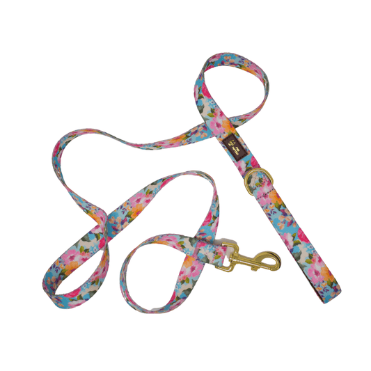 Emery – Floral Dog Leash 4ft & 6ft, Padded Handle