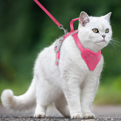 Soft Breathable Escape-Proof Cat Harness and Leash