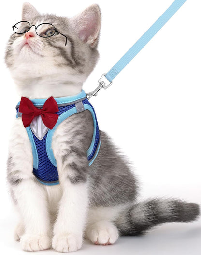 Reflective Escape-Proof Cat Harness and Leash Set