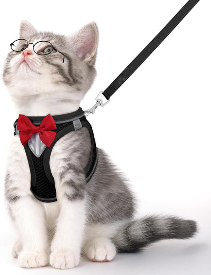 Reflective Escape-Proof Cat Harness and Leash Set
