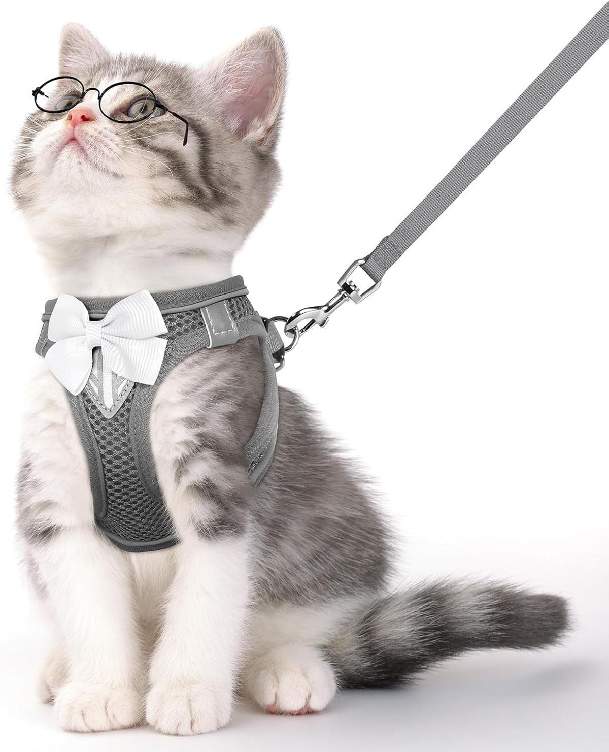 Reflective Escape-Proof Cat Harness and Leash Set
