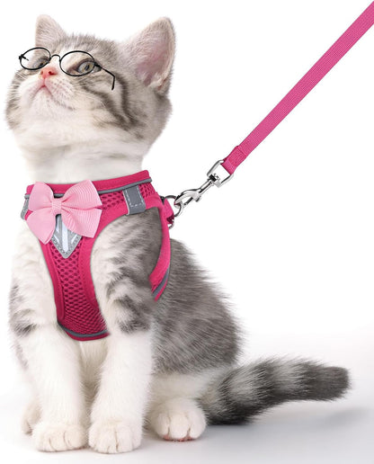 Reflective Escape-Proof Cat Harness and Leash Set
