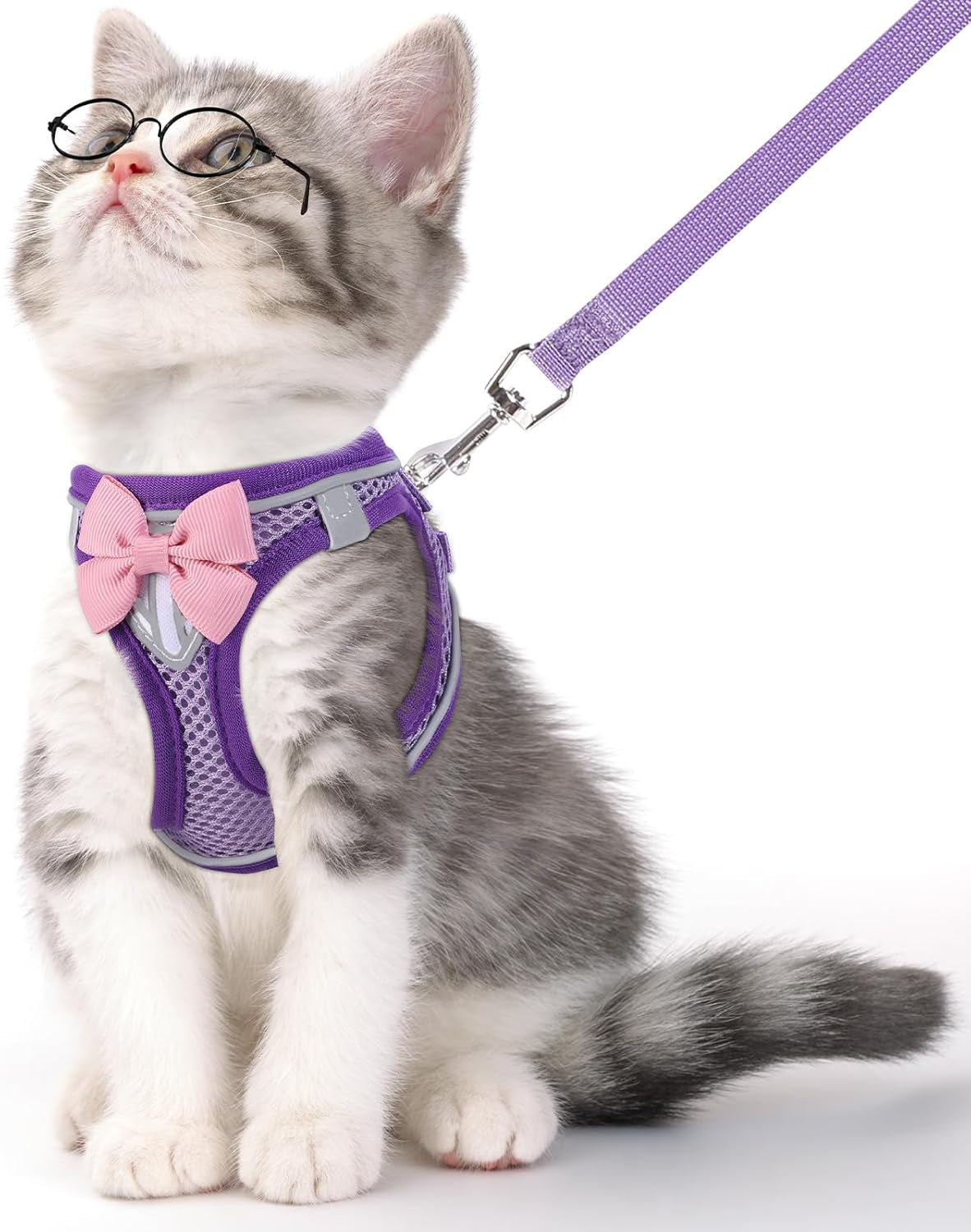 Reflective Escape-Proof Cat Harness and Leash Set