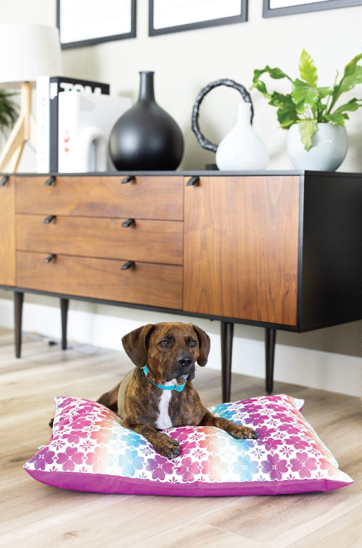 Everly dog bed — additional photo 5