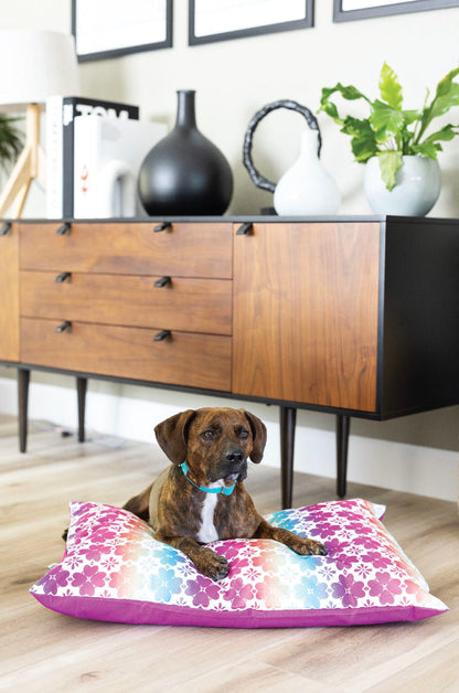 Everly dog bed — additional photo 5