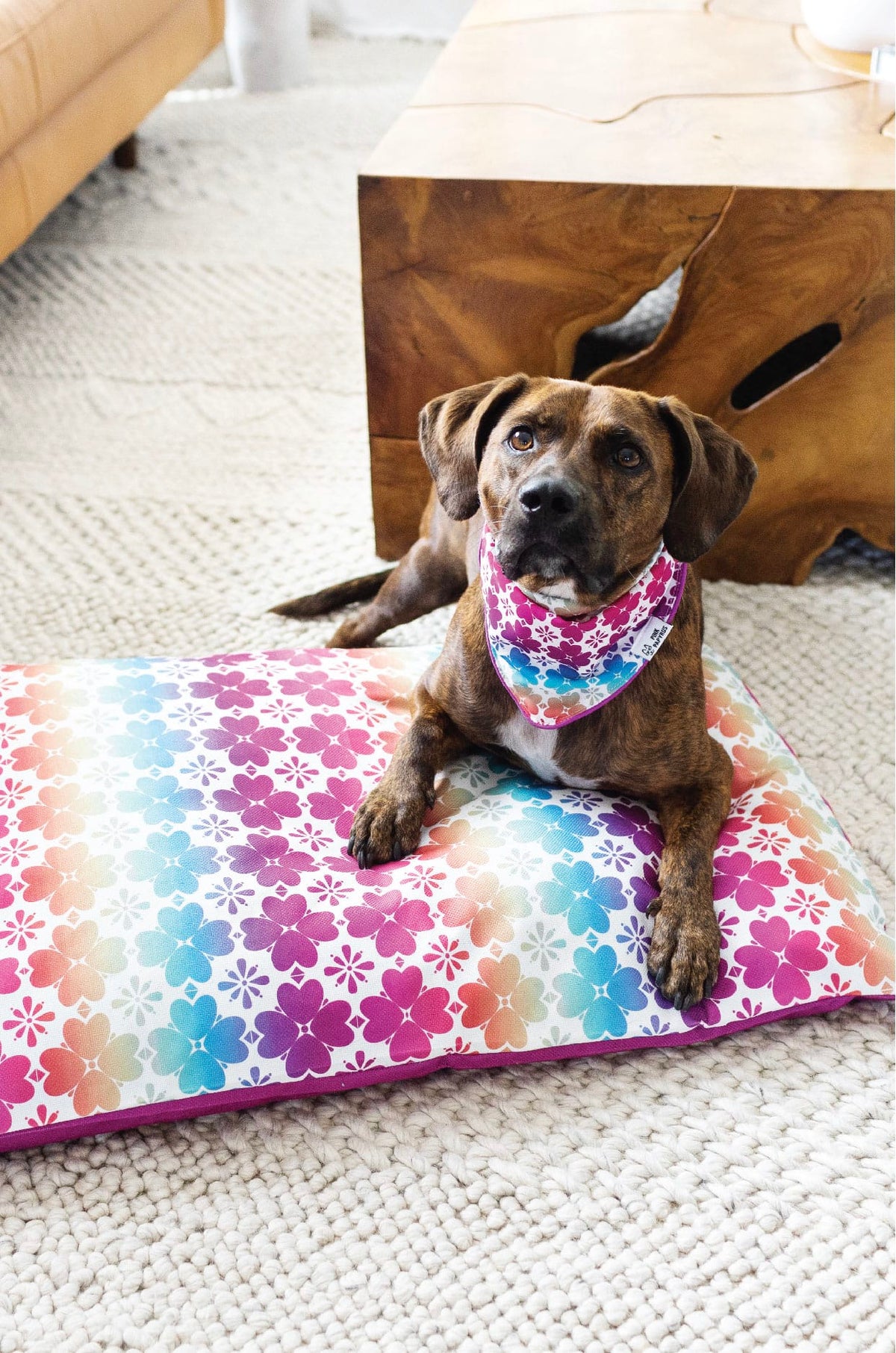 Everly dog bed — additional photo 6