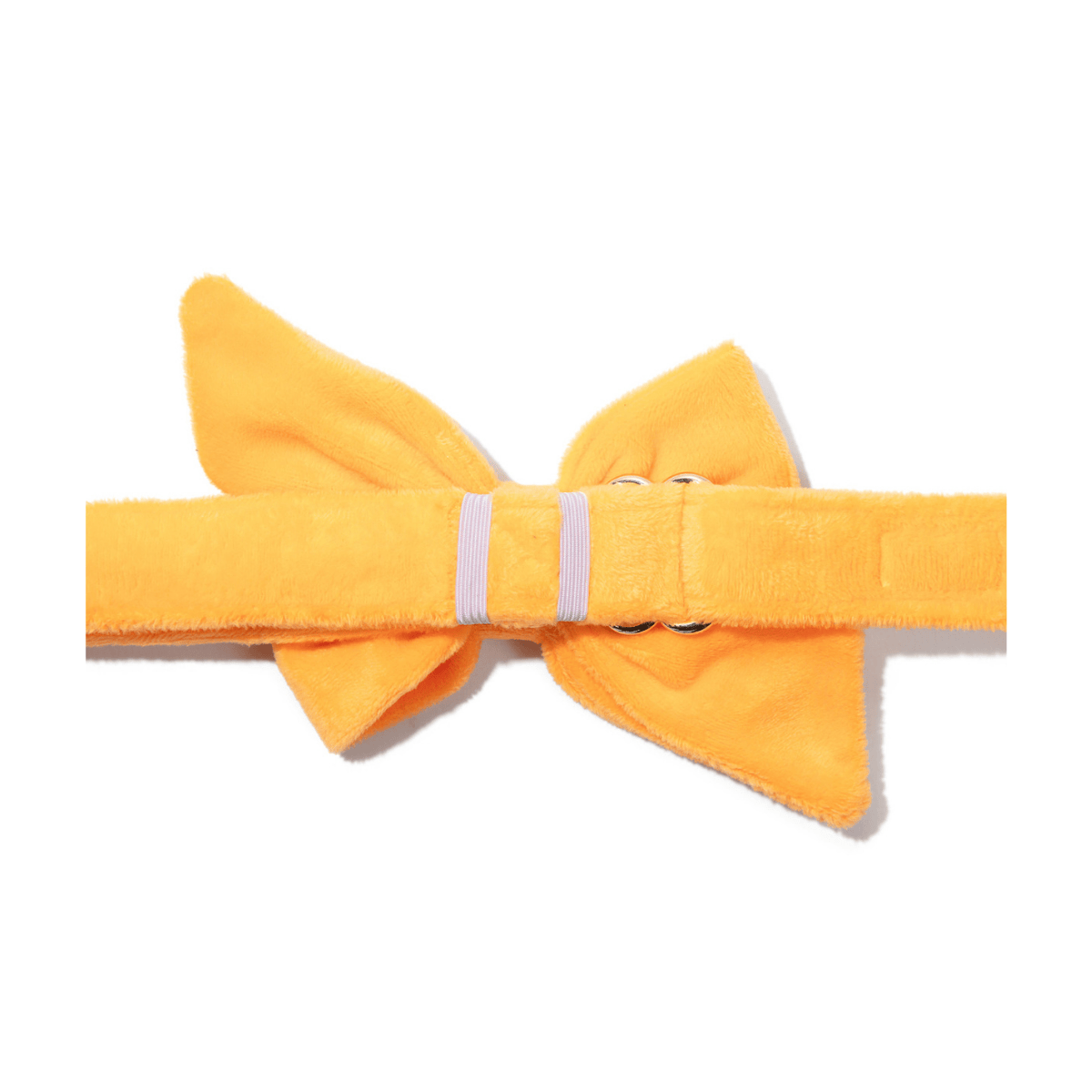Ezra dog babe bow — additional photo 2