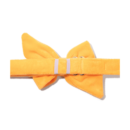 Ezra dog babe bow — additional photo 2