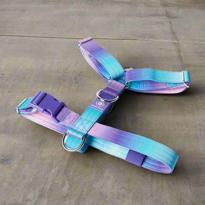 Comfort Control 90s retro no-pull dog harness - view 2
