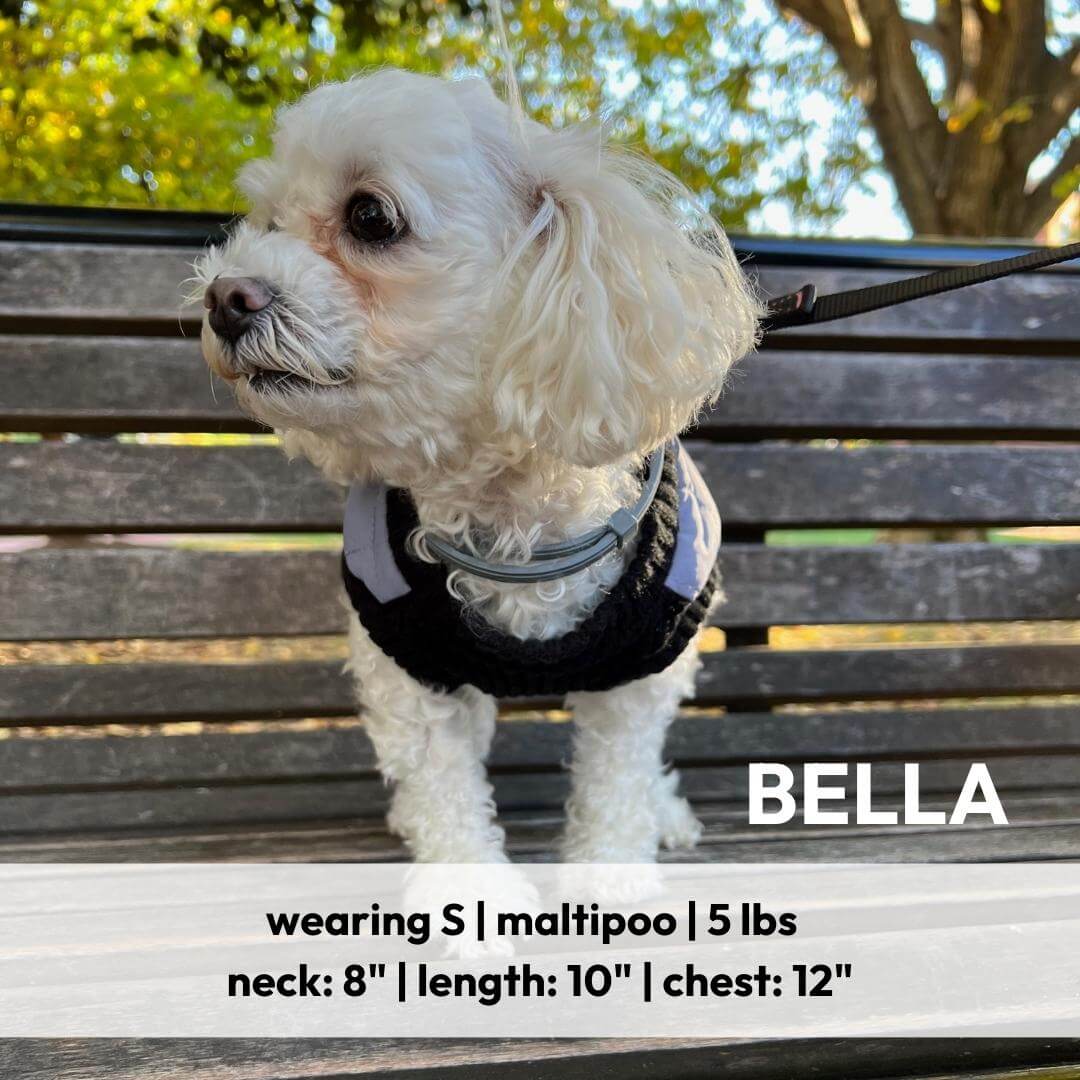 Blue quilted step-in bomber vest for dogs - view 7