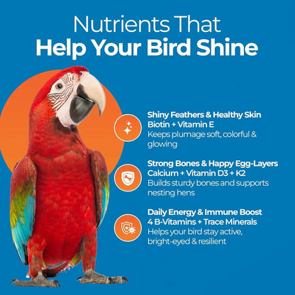 FeatherUp Bird Vitamins with Biotin & Calcium for Feather Growth 90g