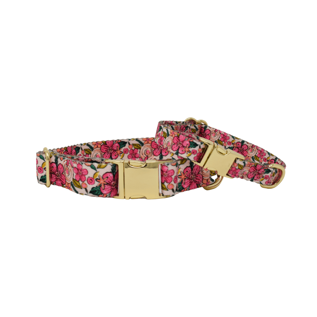 Gianna – Floral Dog Collar, Adjustable XS–L