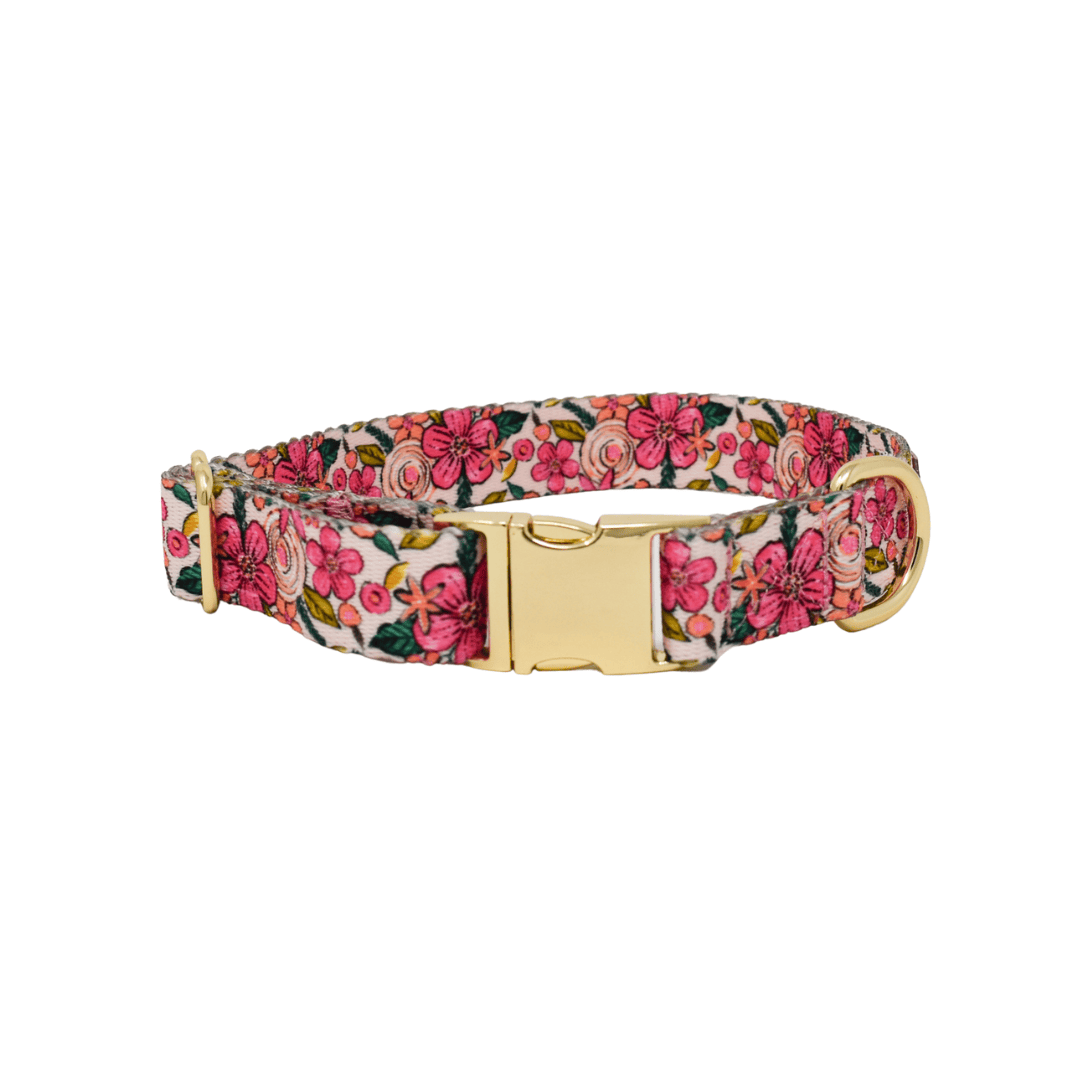 Gianna dog collar — additional photo 2