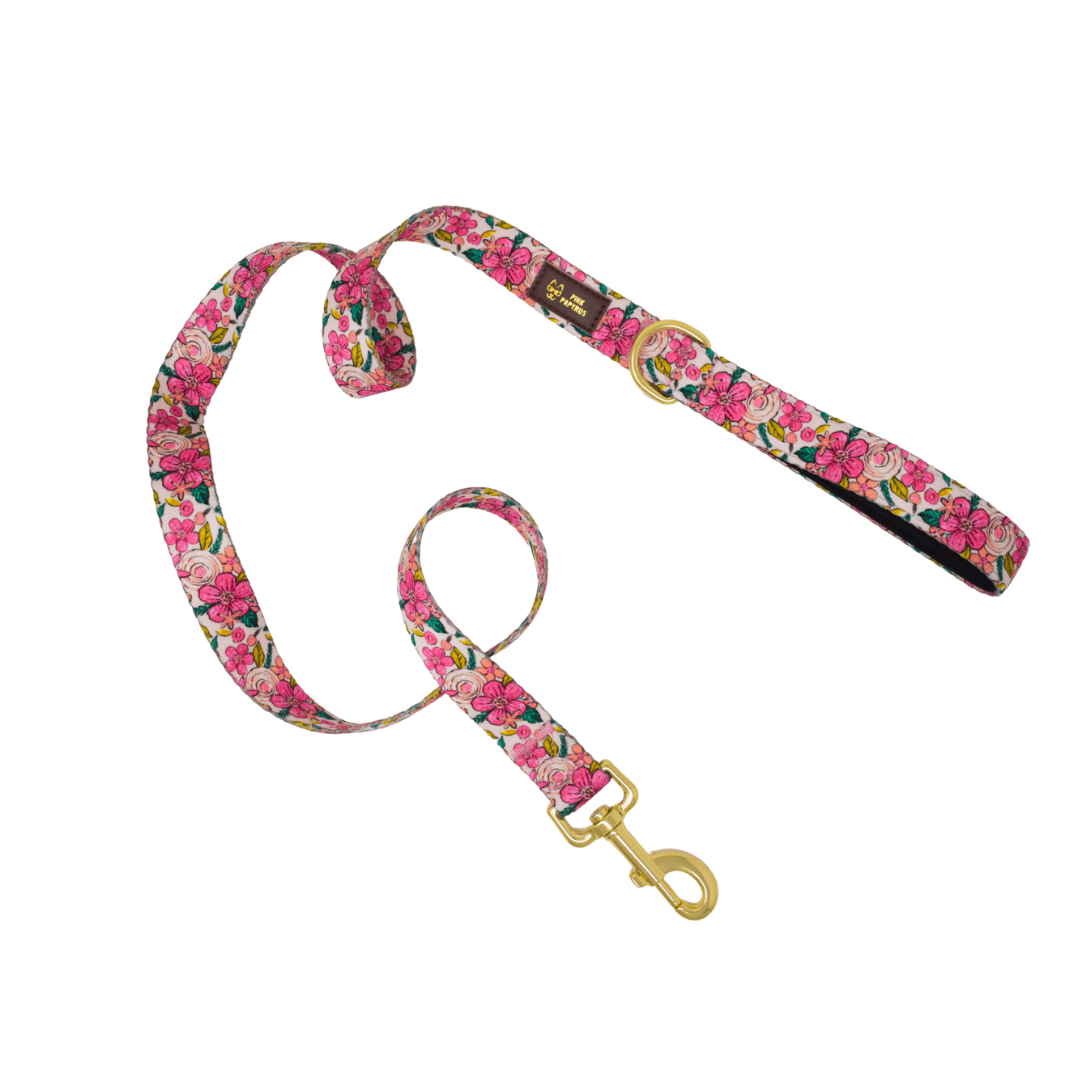 Gianna – Floral Dog Leash 4ft & 6ft, Padded Handle