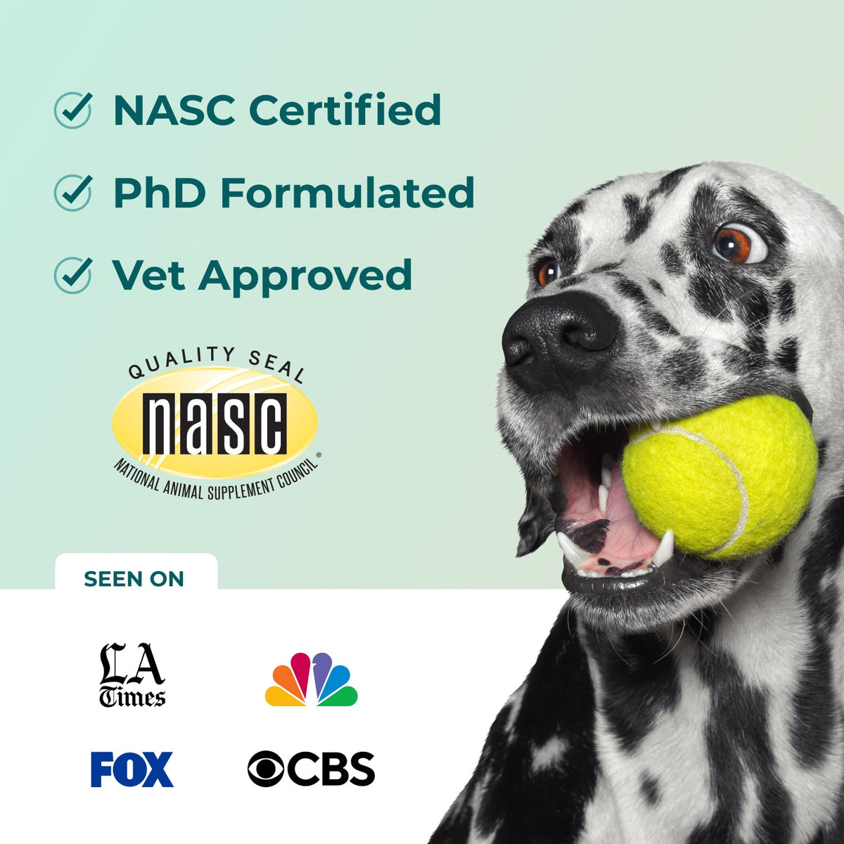 Dental Powder for Dogs