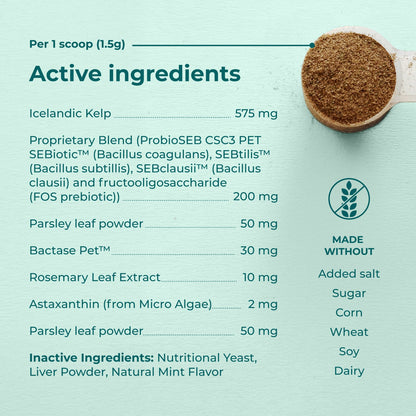Dental Powder for Dogs