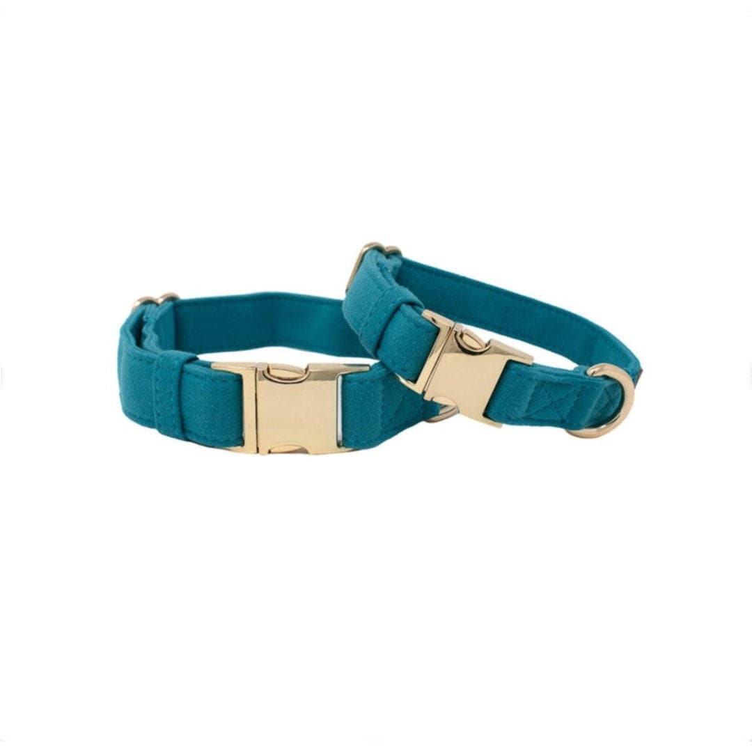 Hayden – Teal Dog Collar, Adjustable XS–L