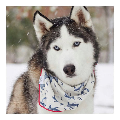 Marlowe dog bandana — additional photo 2
