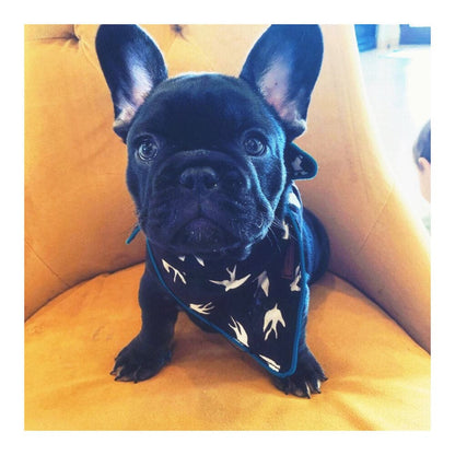 Alex dog bandana — additional photo 3