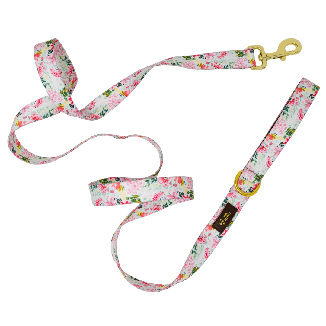 Isabella – Floral Dog Leash 4ft & 6ft, Padded Handle