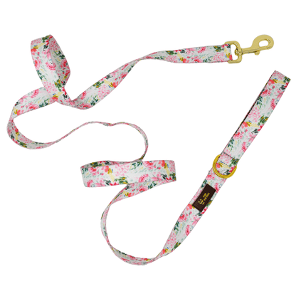 Isabella – Floral Dog Leash 4ft & 6ft, Padded Handle
