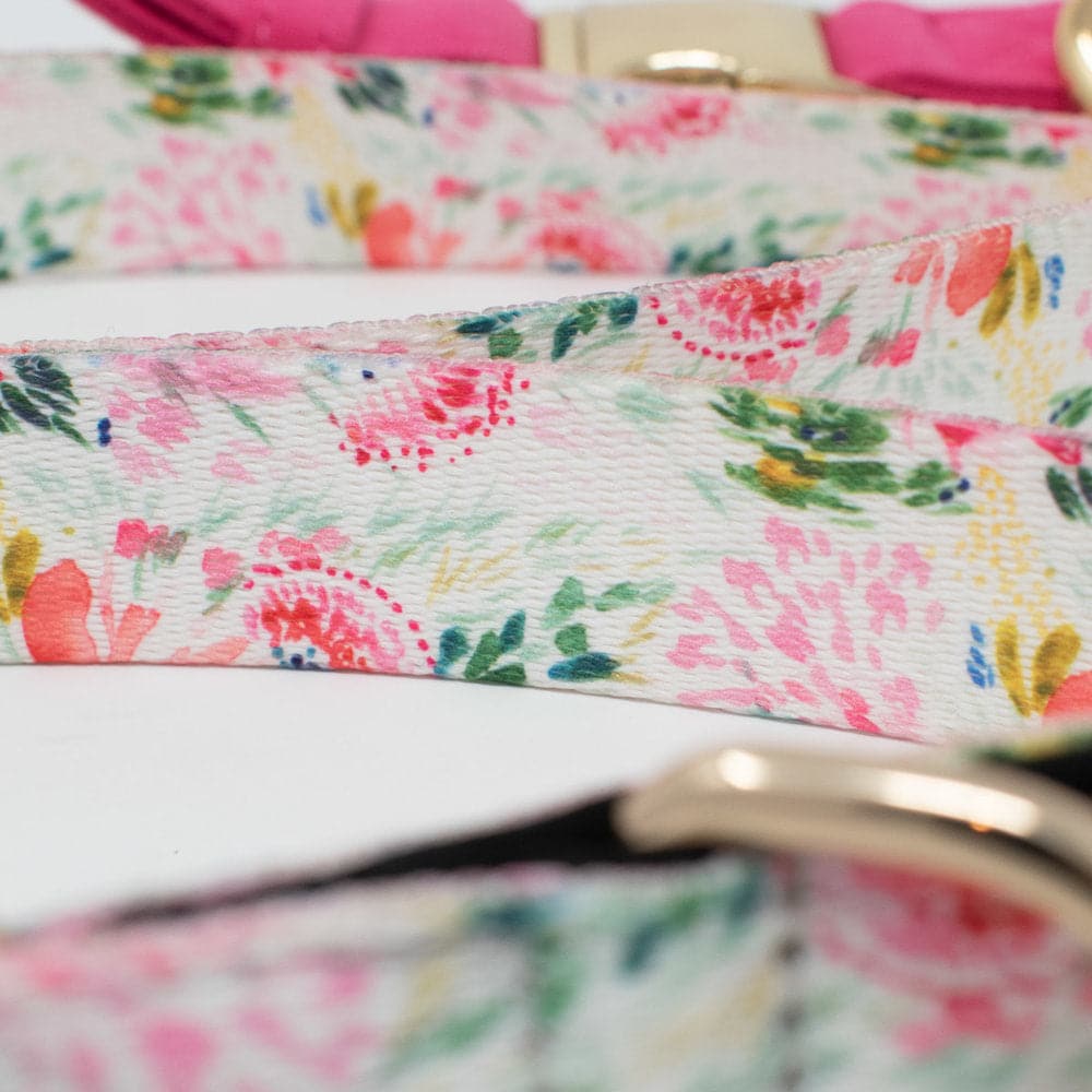 Isabella dog leash — additional photo 3