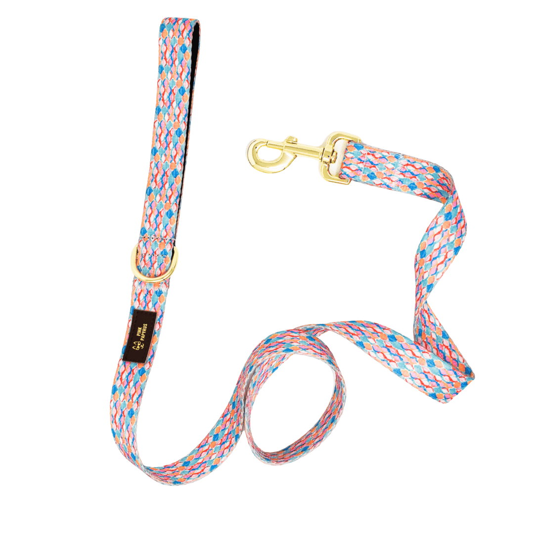 Isla – Ikat Dog Leash 4ft & 6ft, Padded Handle