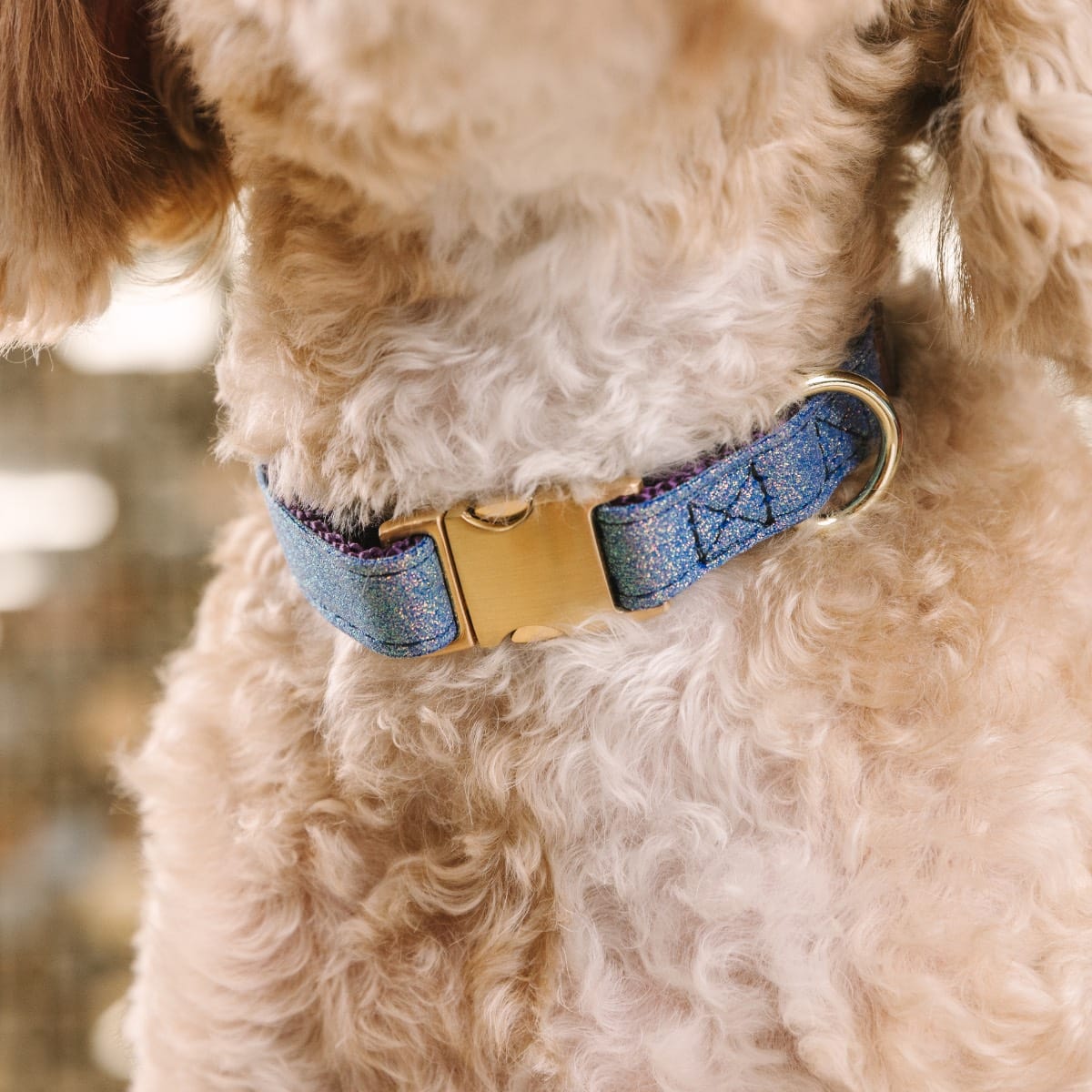 Jolie dog collar — additional photo 4