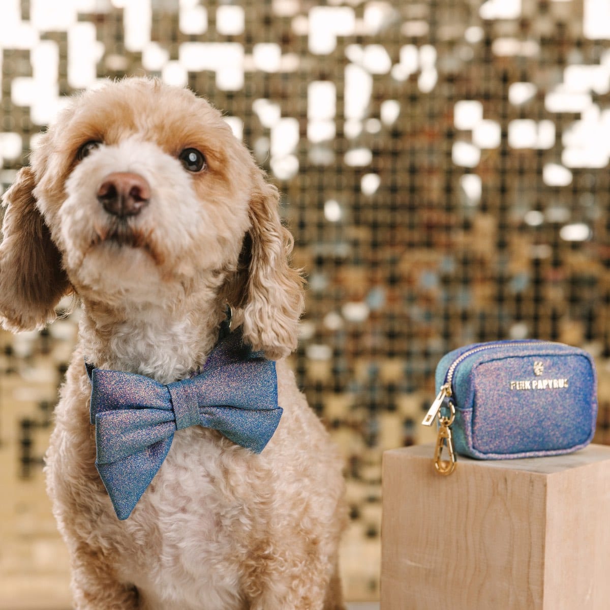 Jolie dog babe bow — additional photo 4