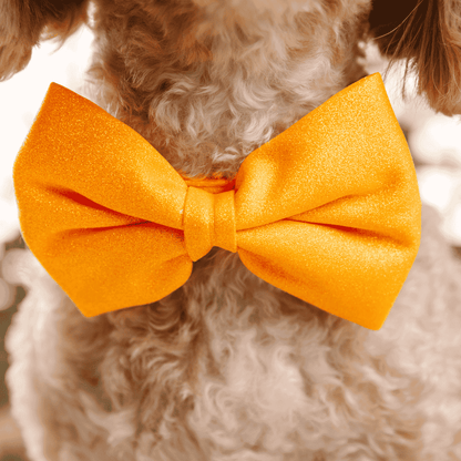 Keaton dog bow tie — additional photo 4