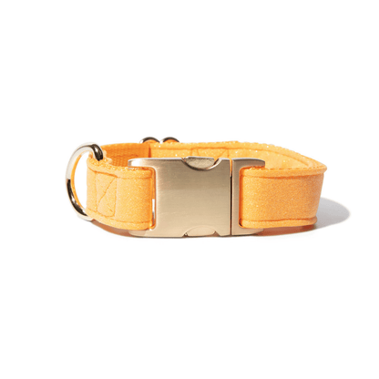 Keaton dog collar — additional photo 2