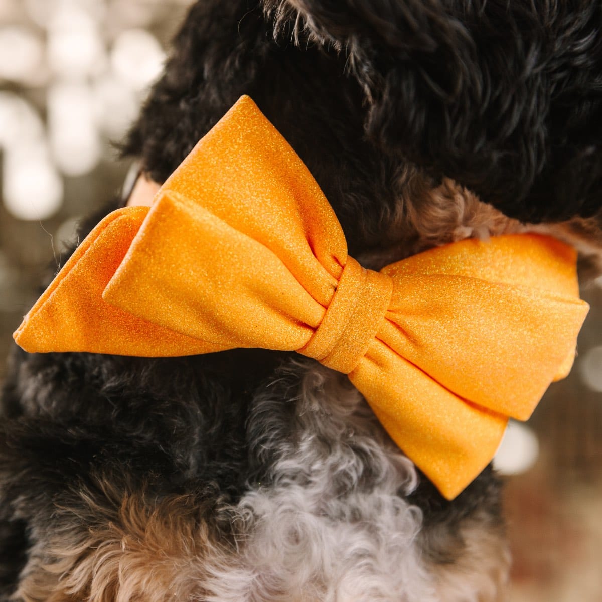 Keaton dog babe bow — additional photo 4