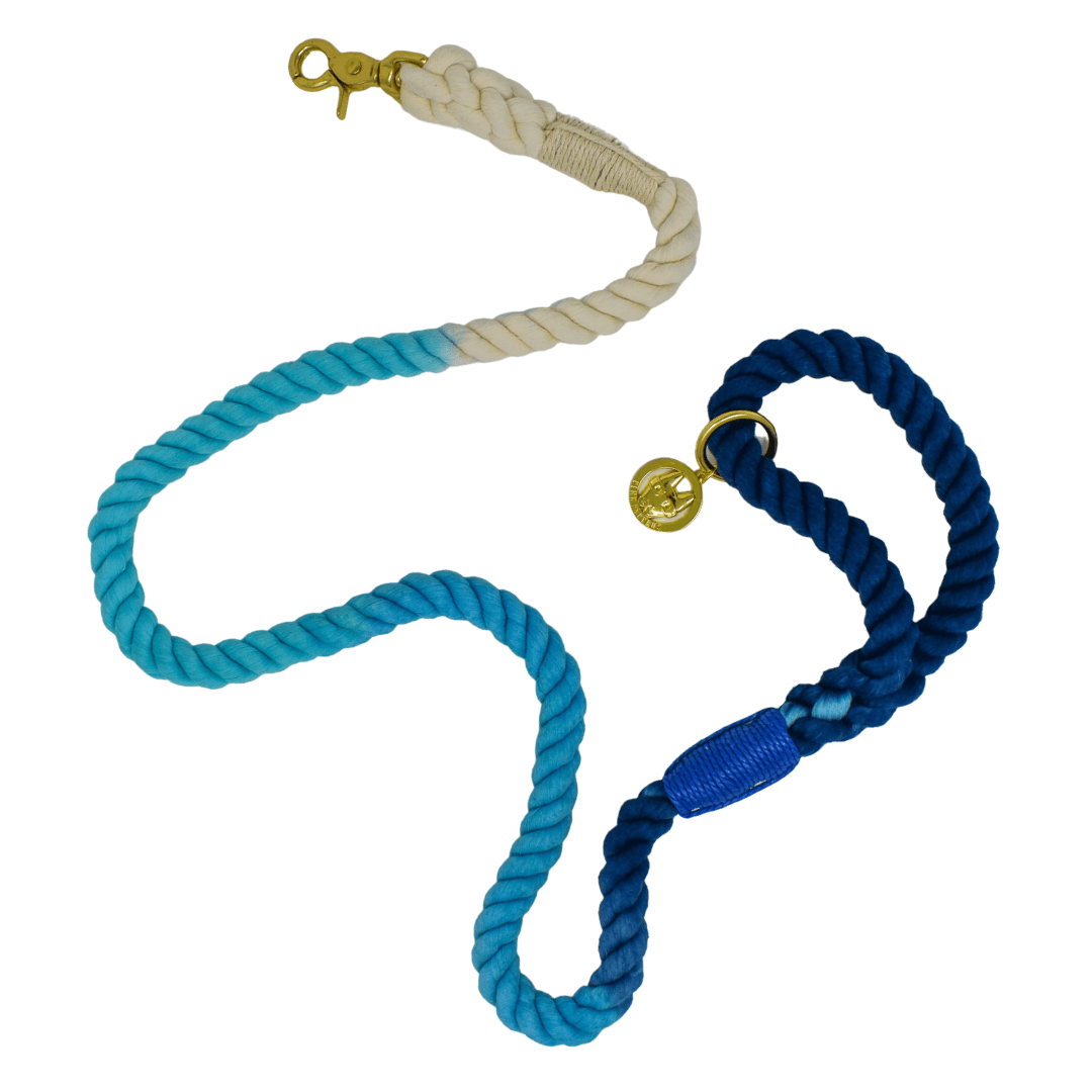 Kennedy – Organic Cotton Rope Dog Leash, Ombre