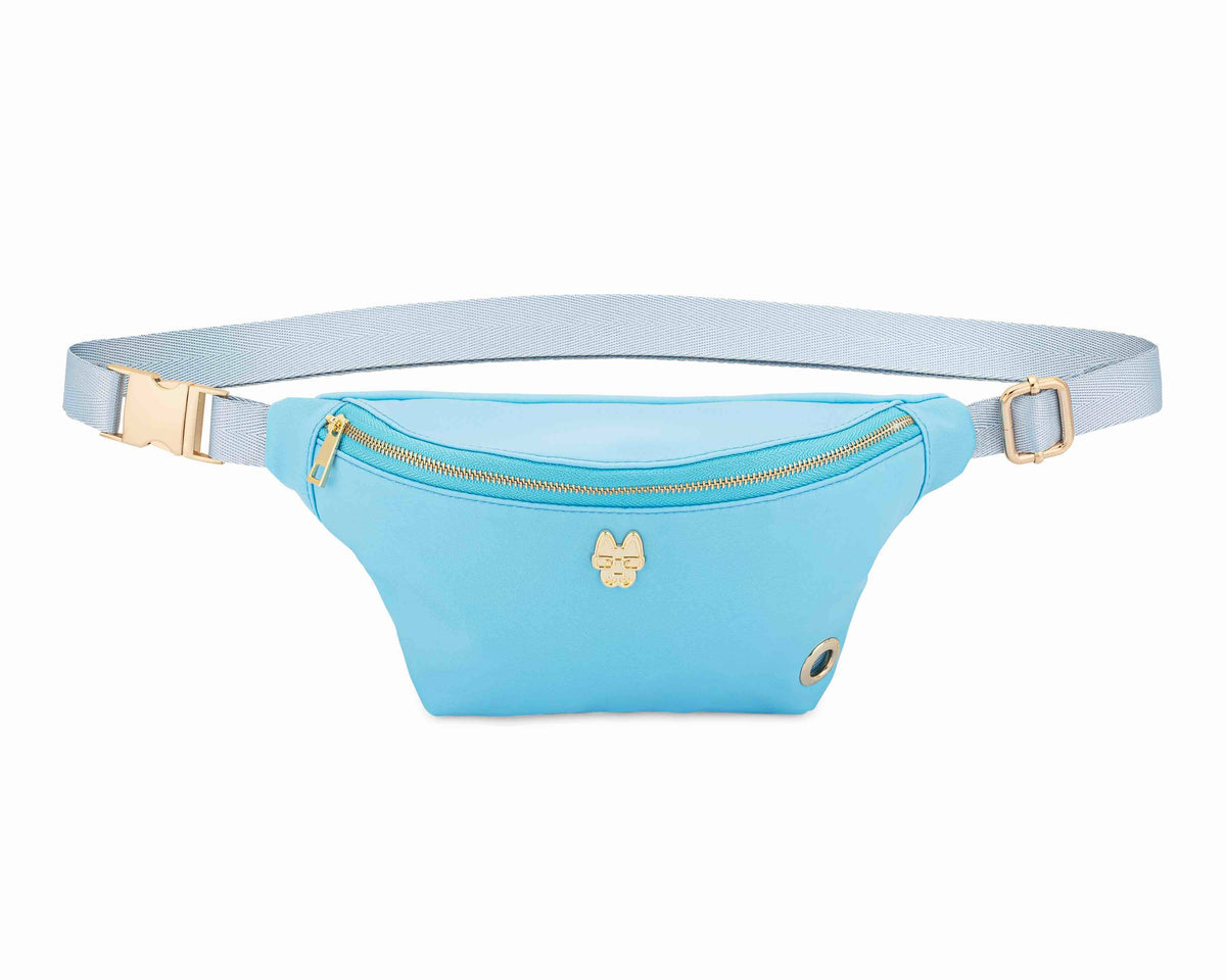 Kinsley – Hands-Free Dog Walking Belt Bag, Nylon