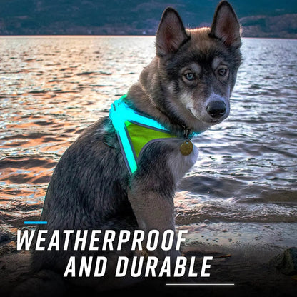 LED Light-Up Dog Harness – USB Rechargeable Reflective Adjustable Safety Vest