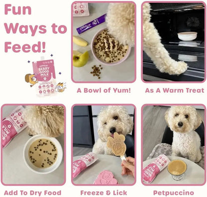 Lactose-Free Vitamin Milk for Cats & Dogs, 10-Pack Pet Nutrition Drink
