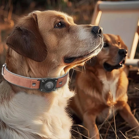 Leather AirTag Dog Collar - Elegant Design with Built-In Holder for Enhanced Pet Safety