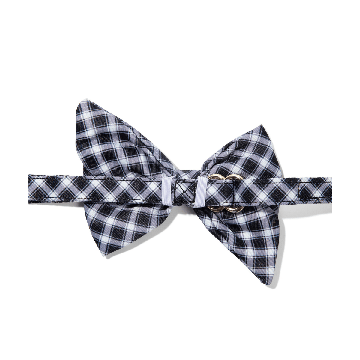 Leighton dog babe bow — additional photo 2
